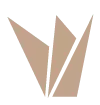 SPARROW Jets logo